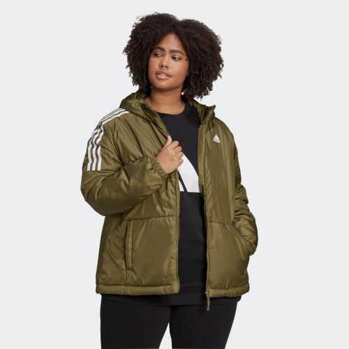 Essentials insulated hooded jacket (plus size)
