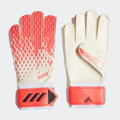 Predator 20 match gloves