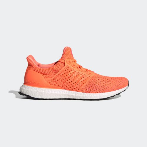 Ultraboost clima dna shoes