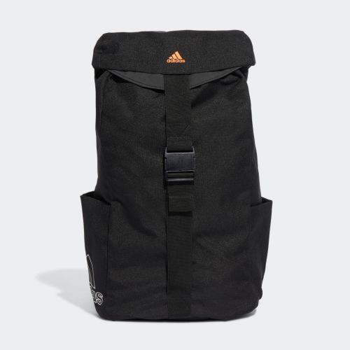 Standards flap backpack