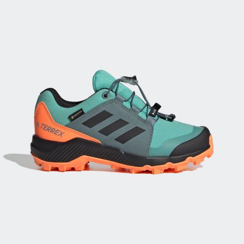 Terrex gore-tex hiking shoes