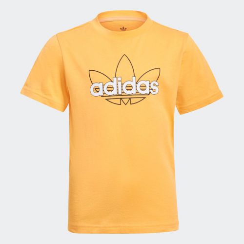 Adidas sprt collection graphic tee