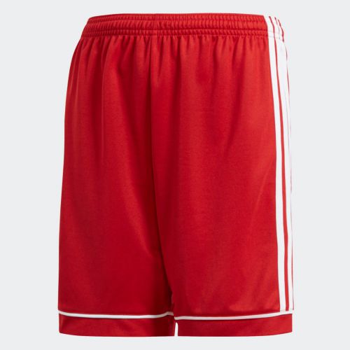 Squadra 17 shorts