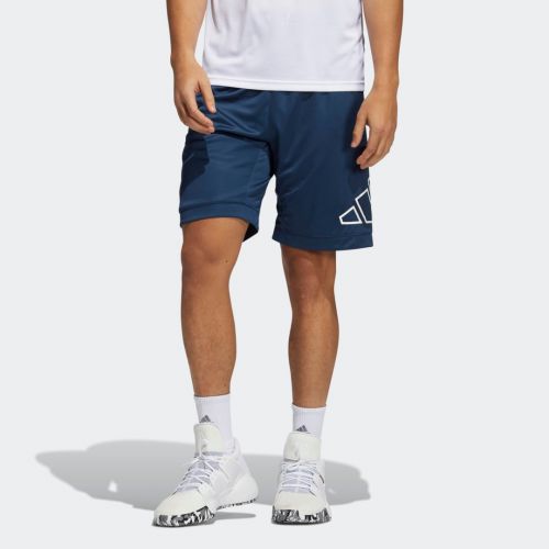 Big logo shorts