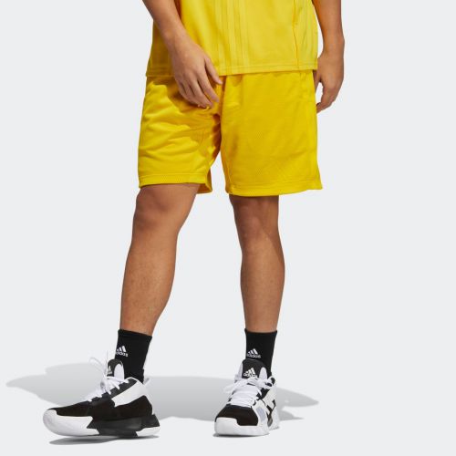 Daniel patrick x adidas basketball shorts