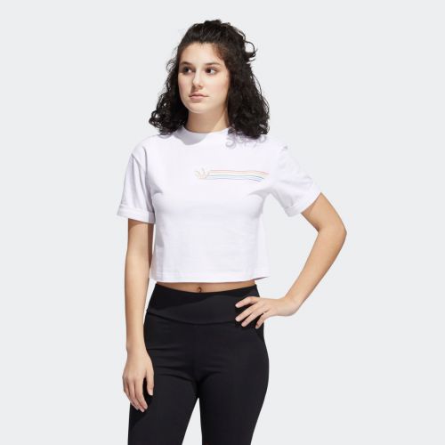 Pride linear cropped tee